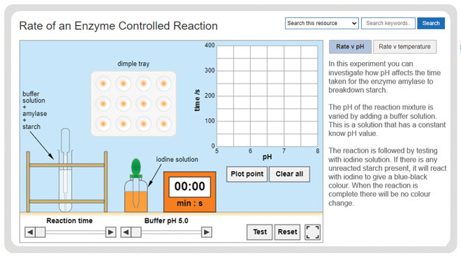 a-level-biology-required-practicals-rate-of-enzyme-controlled-reaction-experiment