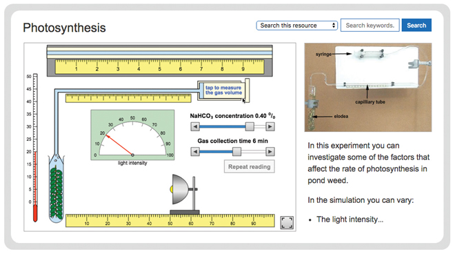 science-investigations-biology-photosynthesis