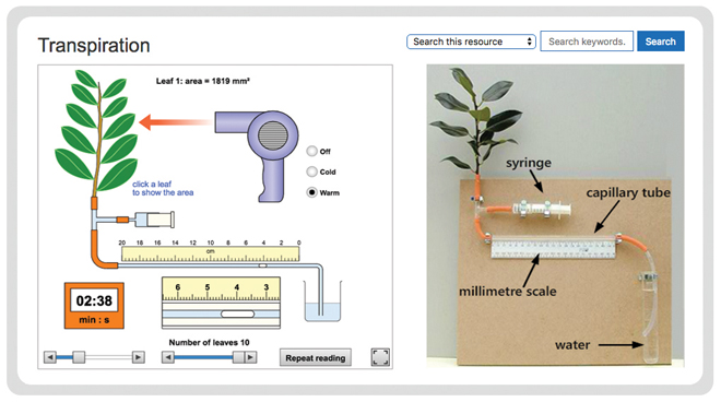 science-investigations-biology-transpiration