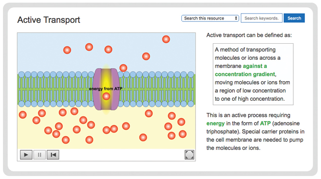 biology-movement-of-substances-active-transport