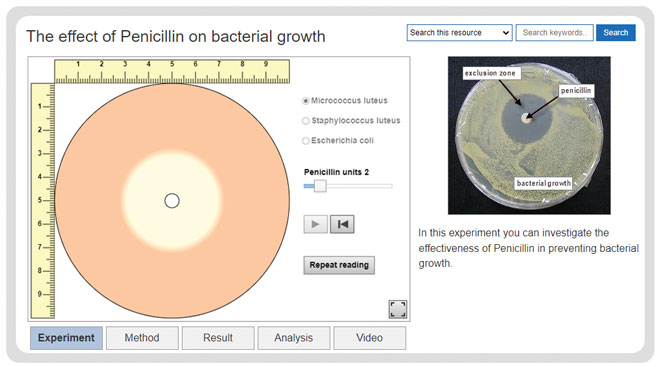 gcse-biology-required-practicals-microbiology-effect-penicillin-experiment