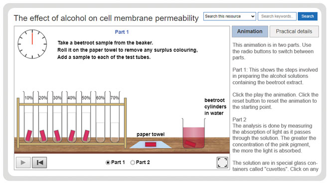 a-level-biology-required-practicals-effect-of-alcohol-on-cell-membrane-permeability-experiment