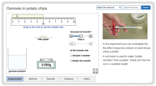 gcse-biology-required-practicals-osmosis-in-potato-chips-experiment