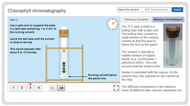 -a-level-biology-required-practicals-chlorophyll-chromatography-experiment