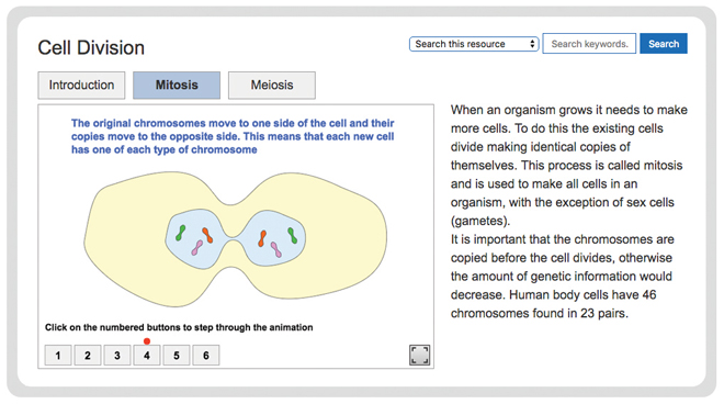 biology-reproduction-variation-and-inheritance-cell-division