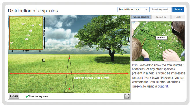 a-level-biology-required-practicals-distribution-of-a-species-experiment