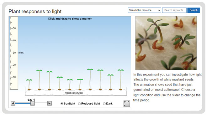 gcse-biology-required-practicals-plant-responses-to-light-experiment