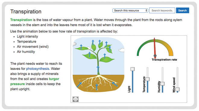 biology-plants-transpiration