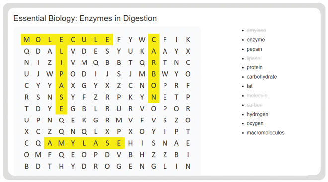 Focus Science Wordsearch Designer Chemistry Structure and Bonding